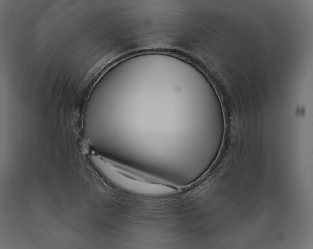 X0000088871265200707061340