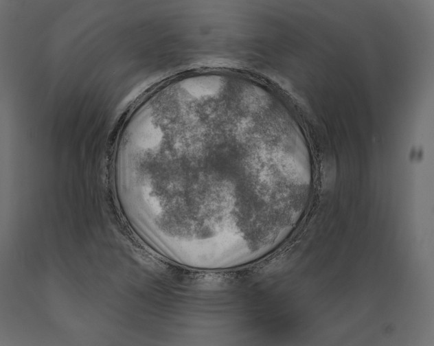 X0000088871266200707061340
