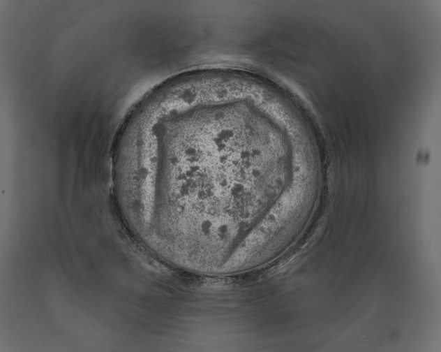 X0000088871267200707061340