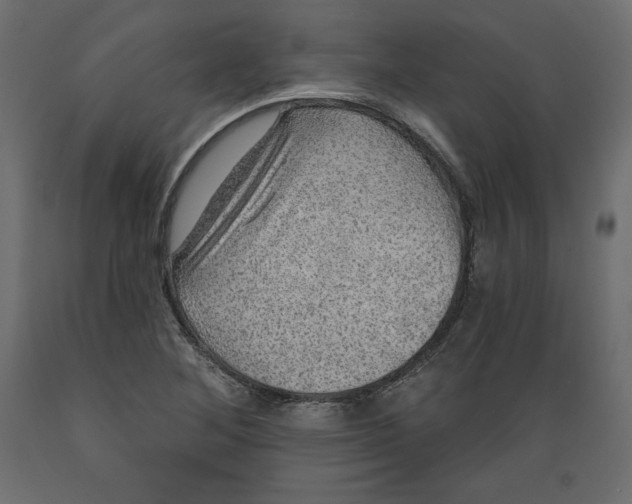 X0000088871268200707061340