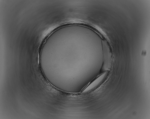 X0000088871269200707061340