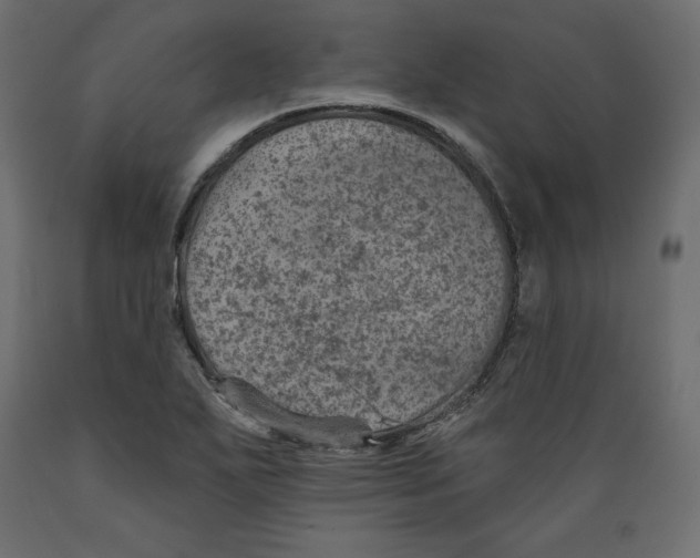 X0000088871271200707061340