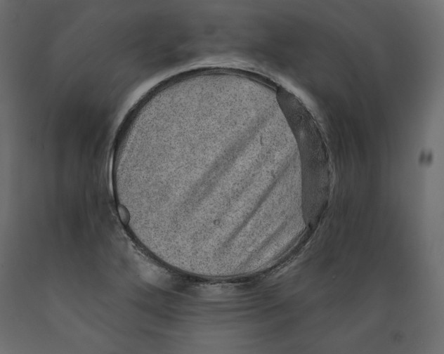 X0000088871272200707061340