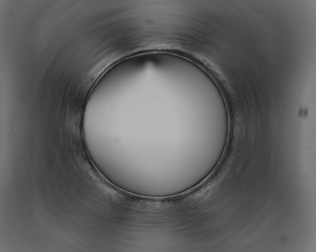 X0000088871273200707061340