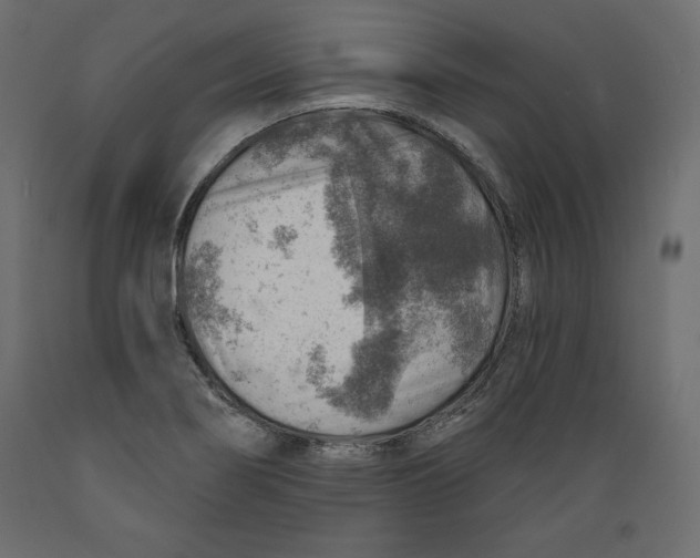 X0000088871274200707061340