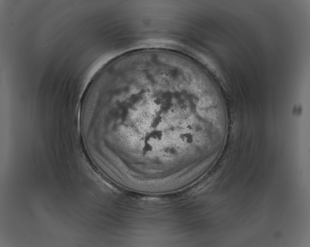 X0000088871275200707061340