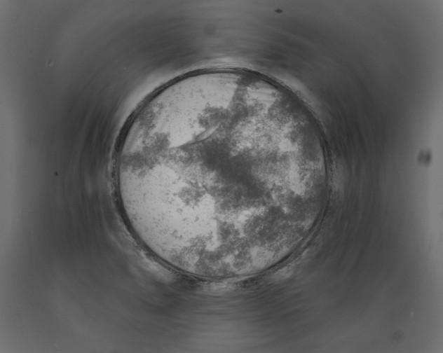 X0000088871278200707061339