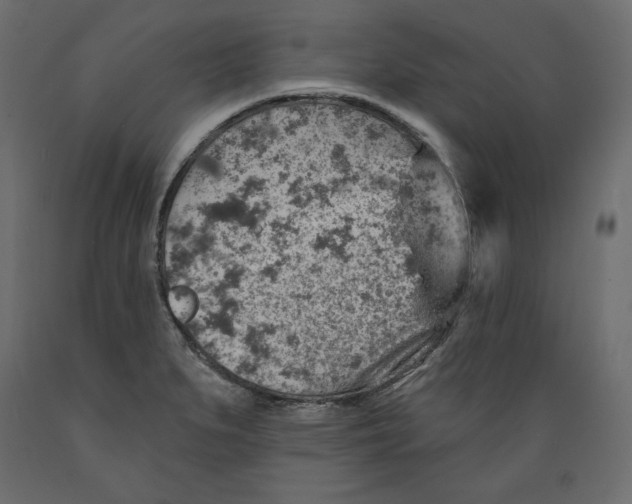 X0000088871279200707061339