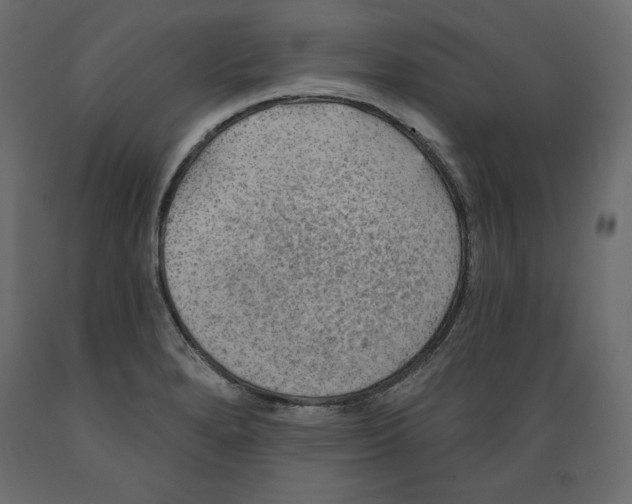 X0000088871280200707061339
