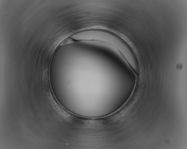 X0000088871281200707061339
