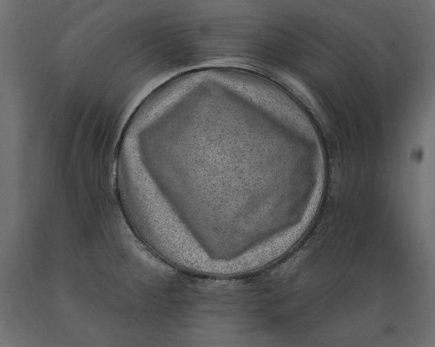X0000088871284200707061339