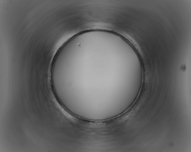 X0000088871285200707061339