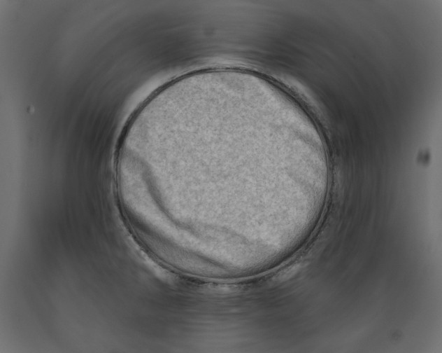X0000088871286200707061339