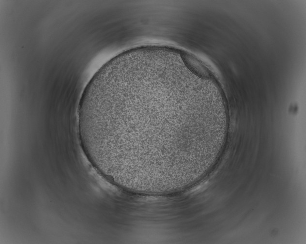 X0000088871287200707061339