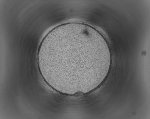X0000088871288200707061339