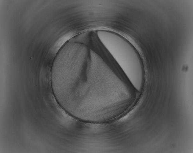 X0000088871289200707061339