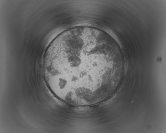 X0000088871290200707061339