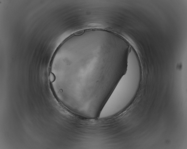 X0000088871291200707061339
