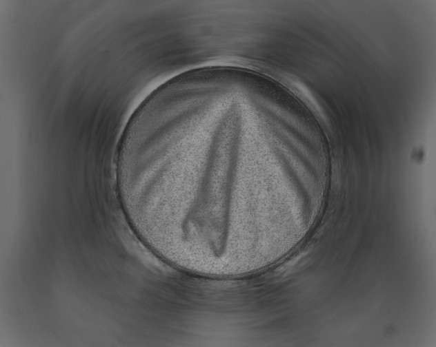 X0000088871292200707061339