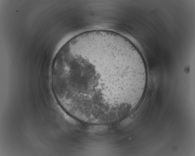 X0000088871294200707061339