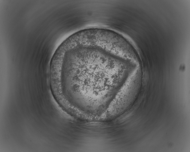 X0000088871295200707061339
