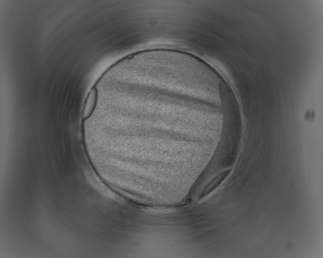 X0000088871296200707061339