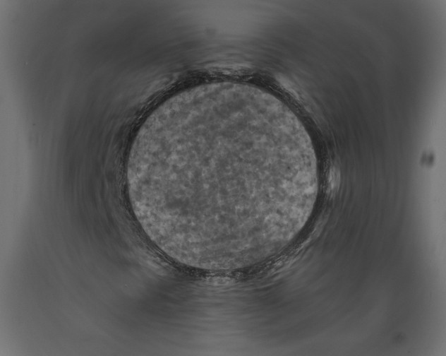 X0000088871297200707061339