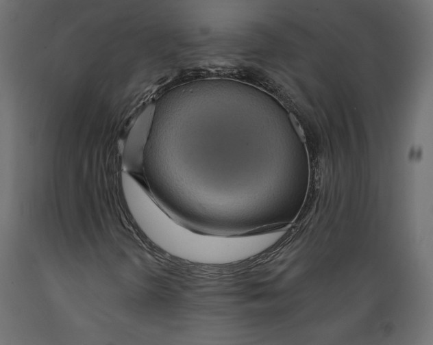 X0000088871298200707061339