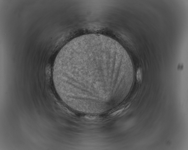 X0000088871299200707061339