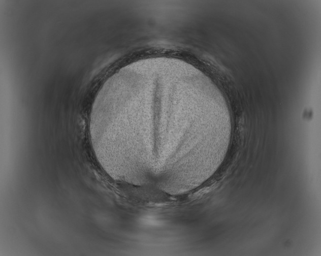 X0000088871302200707061339