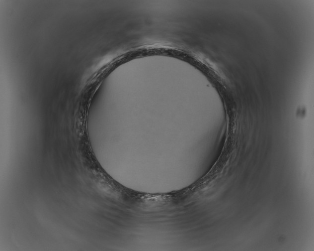 X0000088871303200707061339