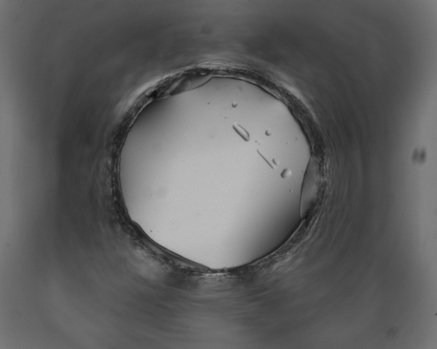 X0000088871304200707061339