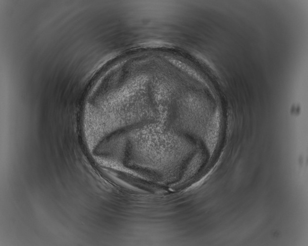 X0000088871305200707061339