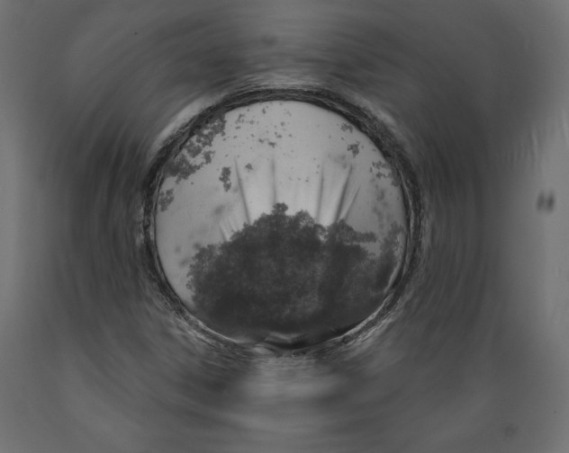 X0000088871306200707061339