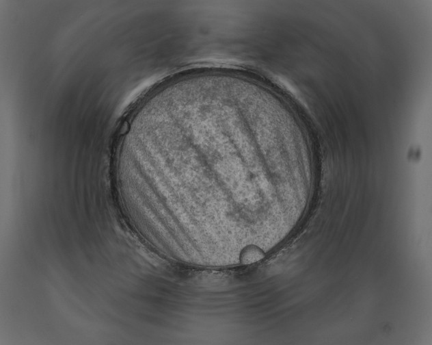 X0000088871307200707061339