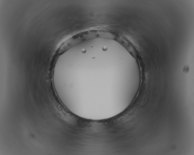 X0000088871308200707061339
