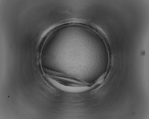 X0000088871310200707061339