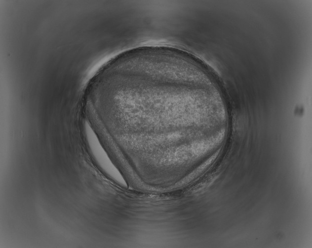 X0000088871311200707061339