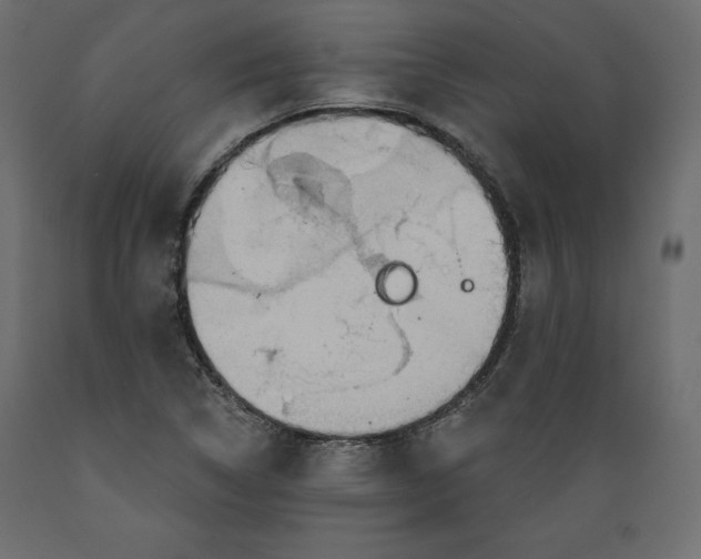 X0000088871314200707061339