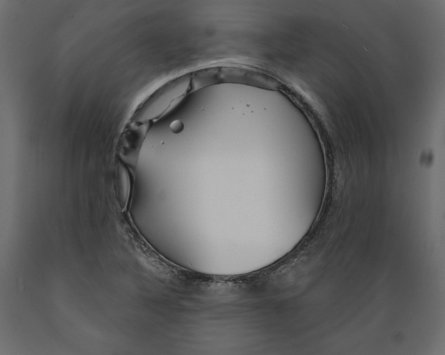X0000088871316200707061339