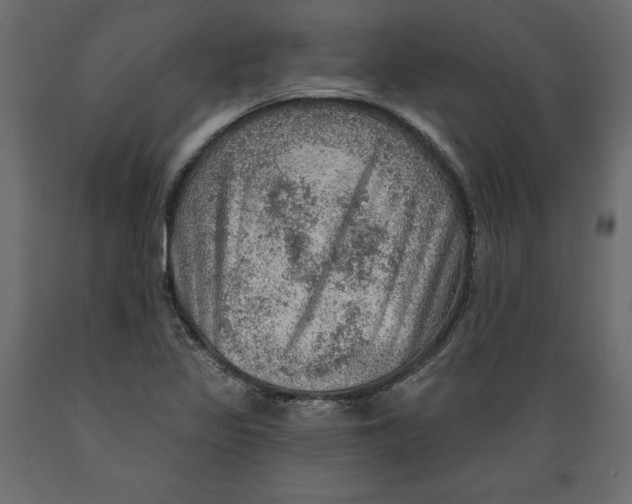 X0000088871317200707061339