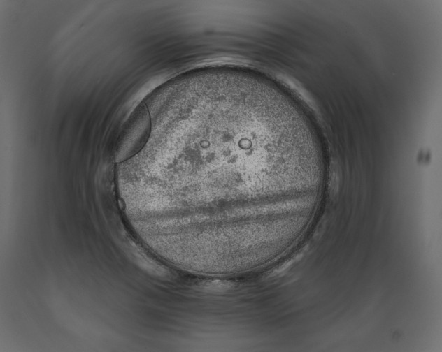 X0000088871321200707061339