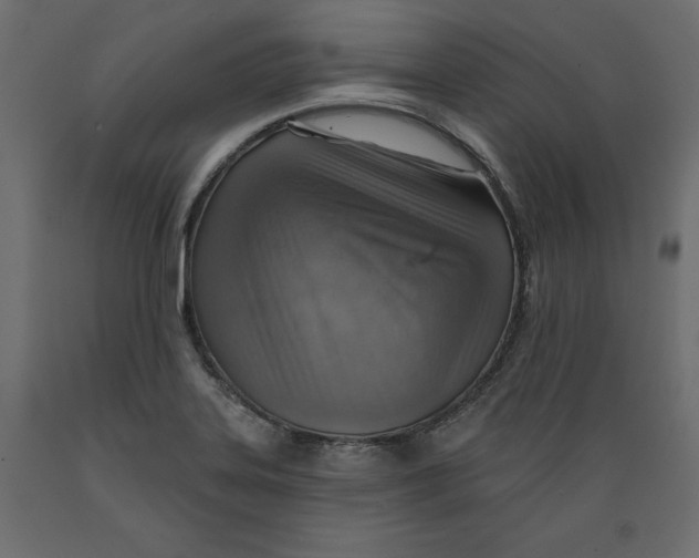 X0000088871323200707061339
