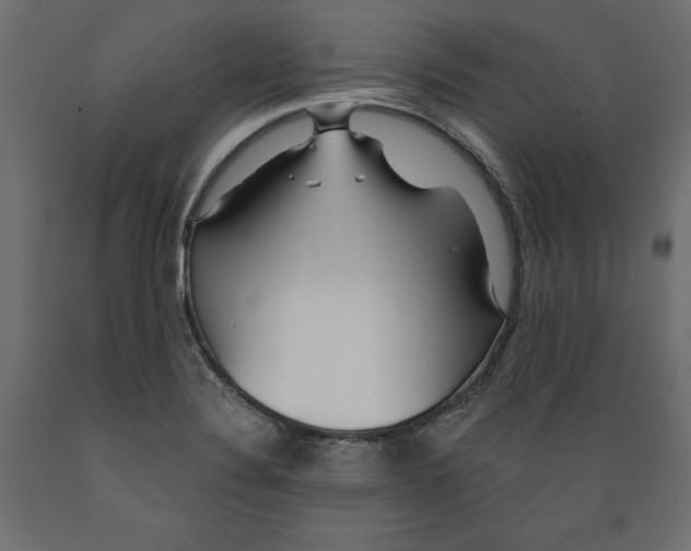 X0000088871324200707061339