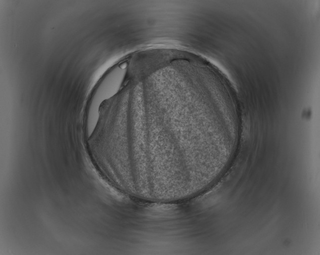 X0000088871325200707061339