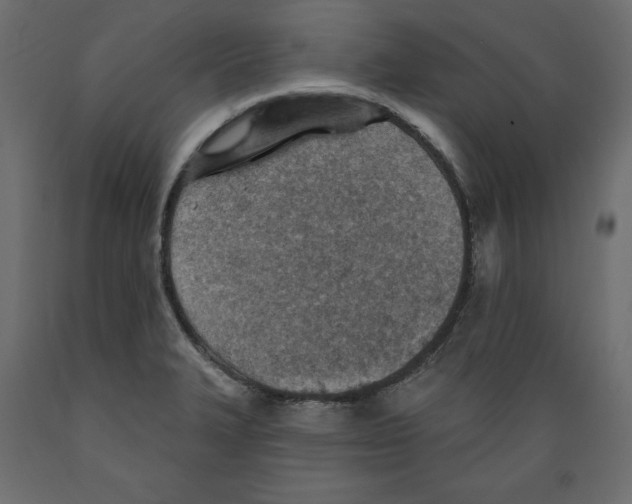 X0000088871327200707061339