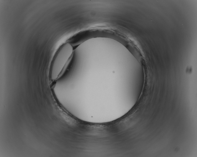 X0000088871328200707061339