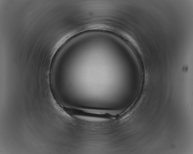 X0000088871330200707061339