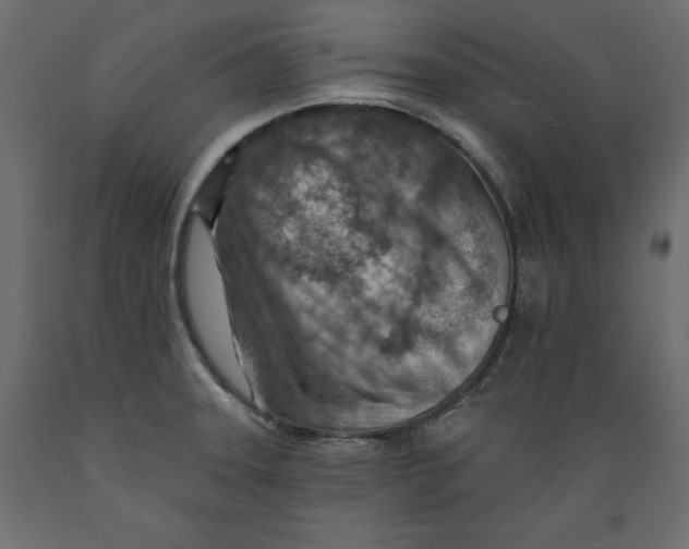 X0000088871331200707061339