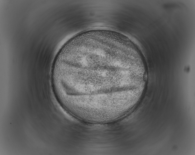 X0000088871333200707061339